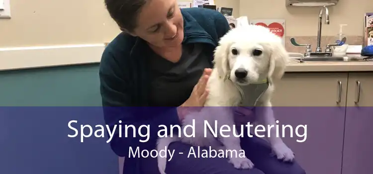 Spaying and Neutering Moody - Alabama