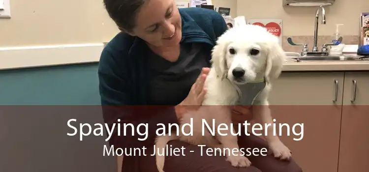 Spaying And Neutering Mount Juliet - Low Cost Pet Spay And Neuter Clinic