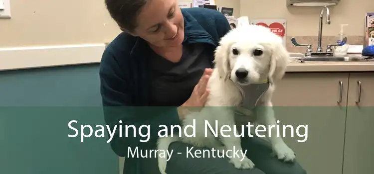 Spaying and Neutering Murray - Kentucky