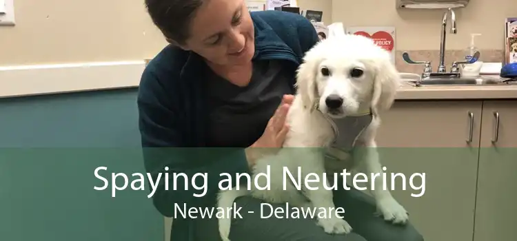 Spaying and Neutering Newark - Delaware