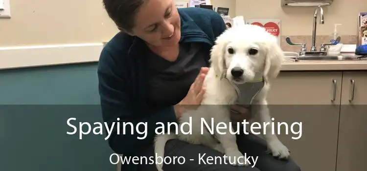 Spaying and Neutering Owensboro - Kentucky