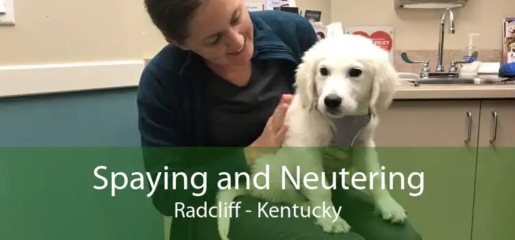 Spaying and Neutering Radcliff - Kentucky