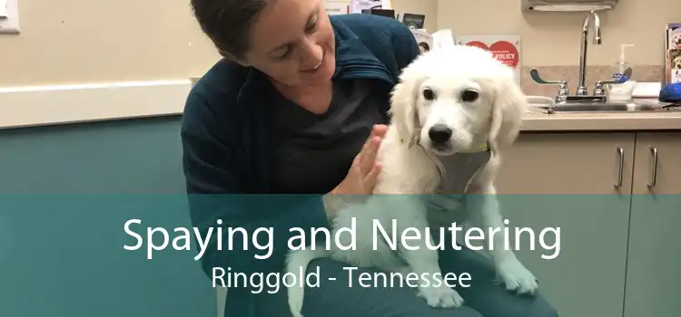 Spaying and Neutering Ringgold - Tennessee