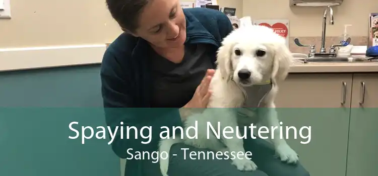 Spaying and Neutering Sango - Tennessee