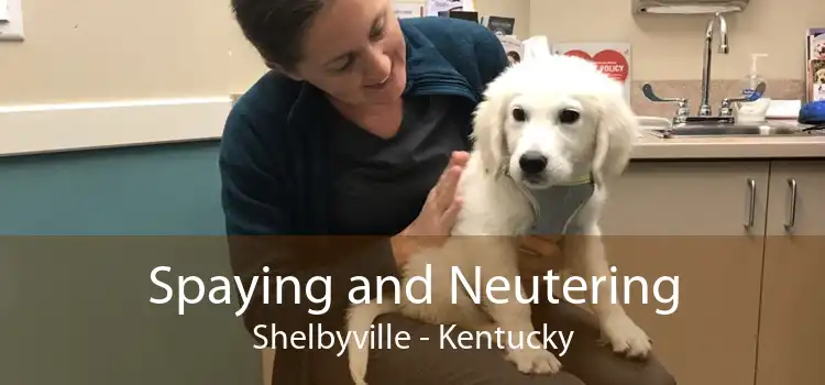 Spaying and Neutering Shelbyville - Kentucky