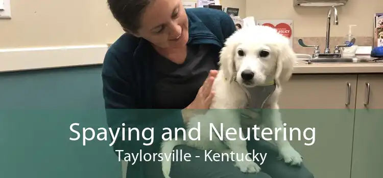 Spaying and Neutering Taylorsville - Kentucky