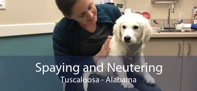 Spaying and Neutering Tuscaloosa - Alabama