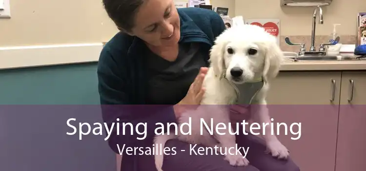 Spaying and Neutering Versailles - Kentucky