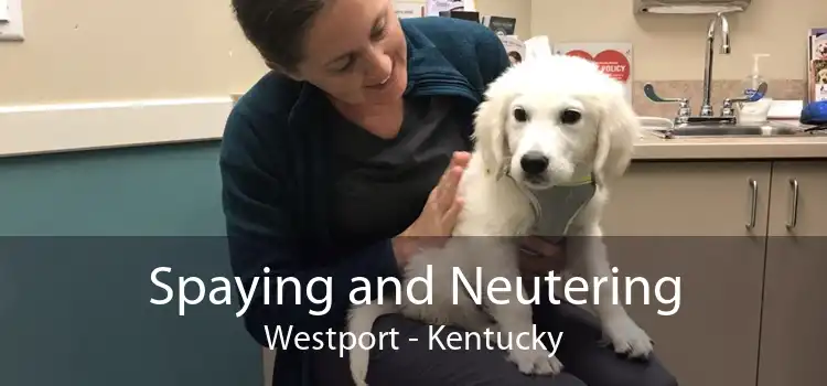 Spaying and Neutering Westport - Kentucky