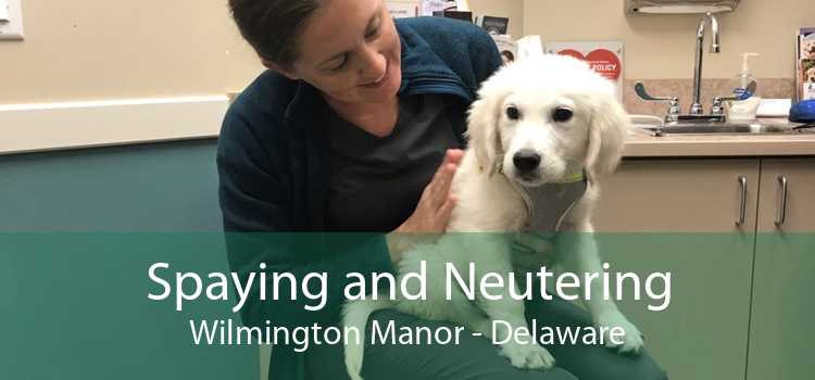 Spaying and Neutering Wilmington Manor - Delaware