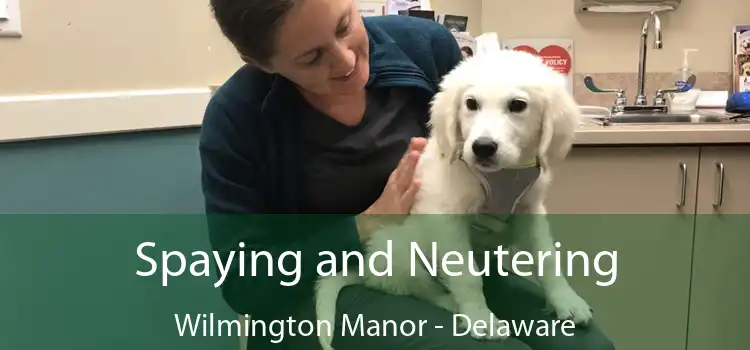 Spaying and Neutering Wilmington Manor - Delaware