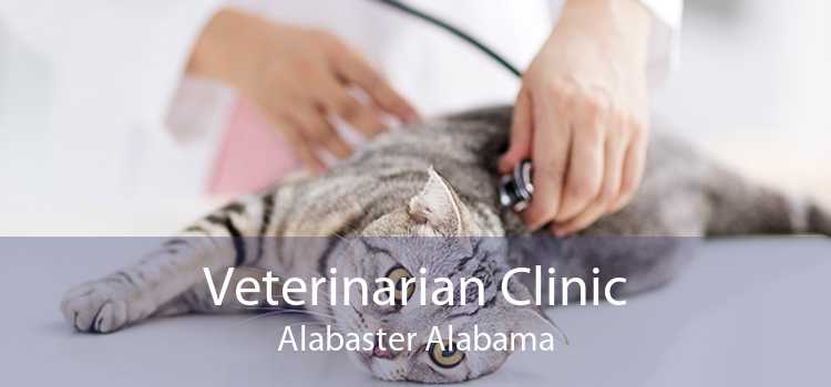 Veterinarian Clinic Alabaster Alabama