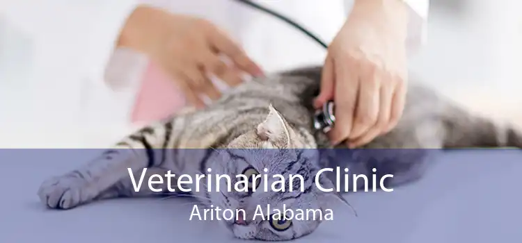 Veterinarian Clinic Ariton Alabama