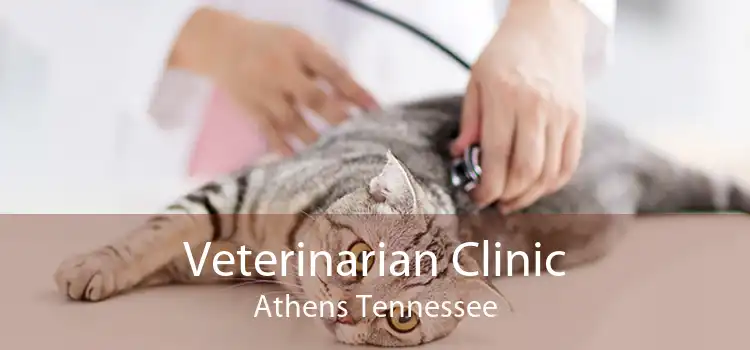 Veterinarian Clinic Athens Tennessee
