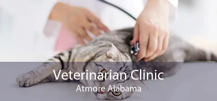 Veterinarian Clinic Atmore Alabama