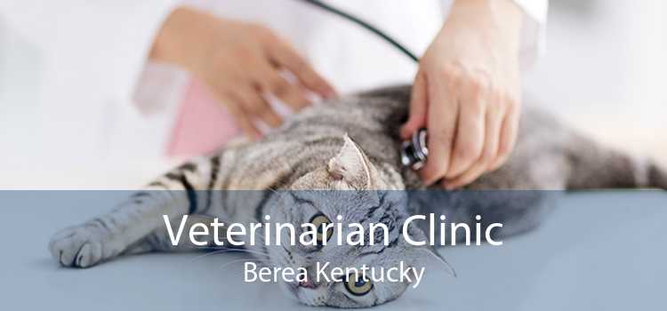 Veterinarian Clinic Berea Kentucky