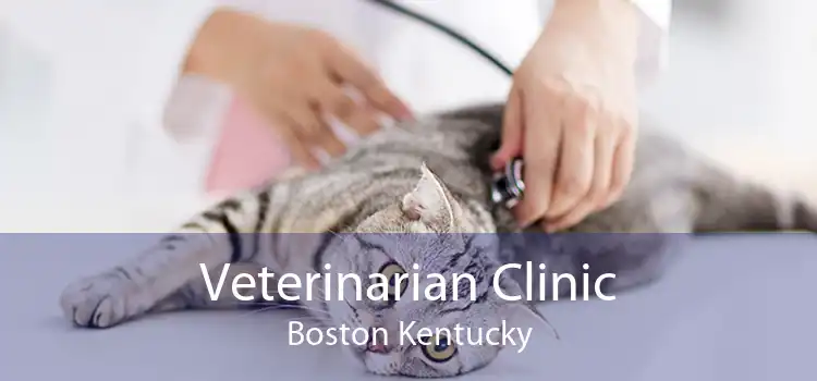 Veterinarian Clinic Boston Kentucky