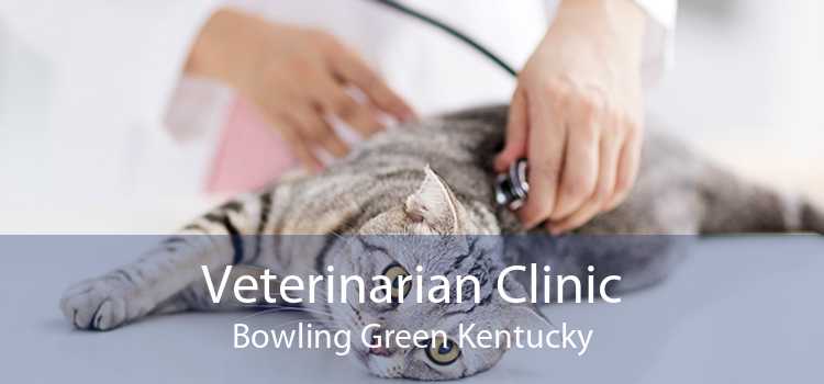Veterinarian Clinic Bowling Green Kentucky