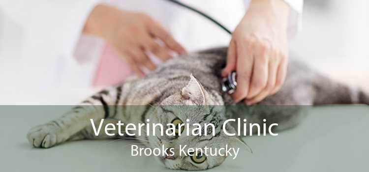 Veterinarian Clinic Brooks Kentucky