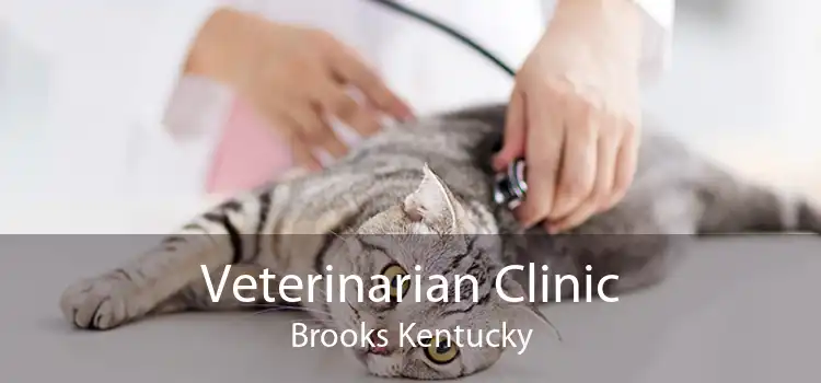 Veterinarian Clinic Brooks Kentucky