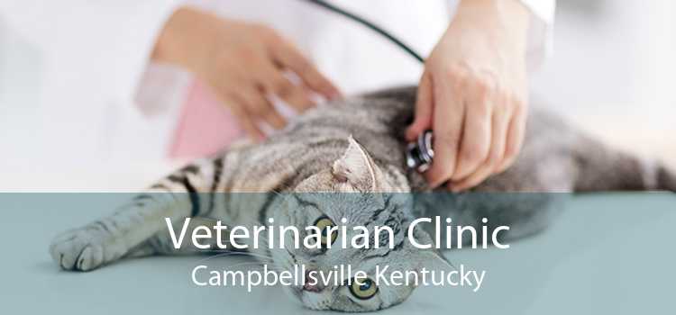 Veterinarian Clinic Campbellsville Kentucky