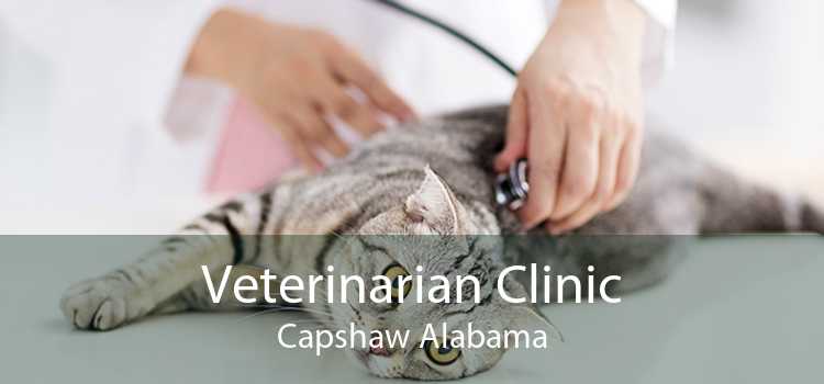 Veterinarian Clinic Capshaw Alabama