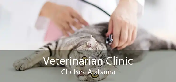 Veterinarian Clinic Chelsea Alabama