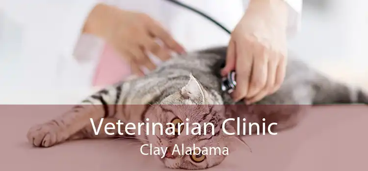 Veterinarian Clinic Clay Alabama