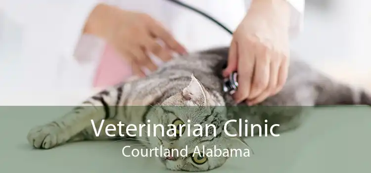 Veterinarian Clinic Courtland Alabama