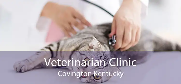 Veterinarian Clinic Covington Kentucky