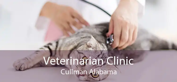 Veterinarian Clinic Cullman Alabama