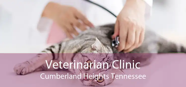 Veterinarian Clinic Cumberland Heights Tennessee