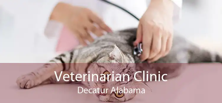 Veterinarian Clinic Decatur Alabama