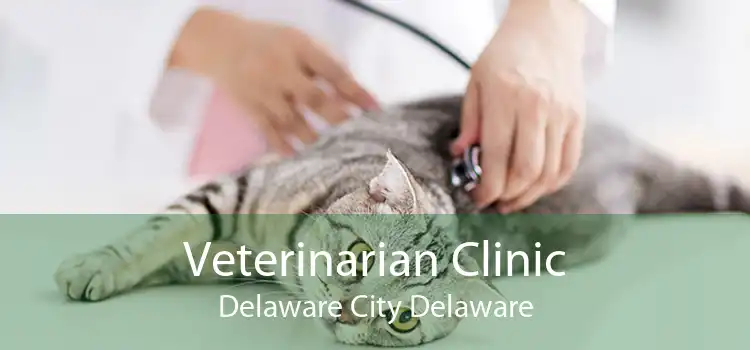 Veterinarian Clinic Delaware City Delaware