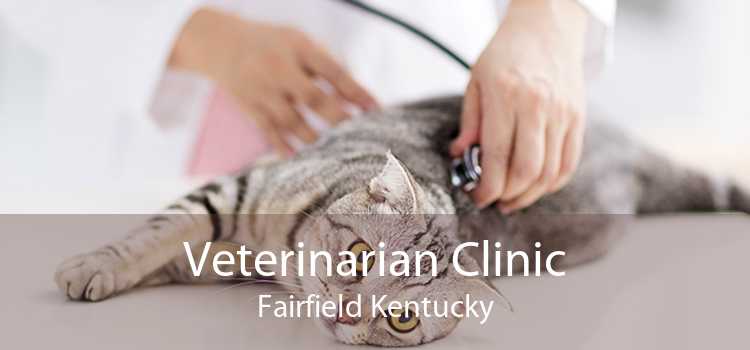 Veterinarian Clinic Fairfield Kentucky