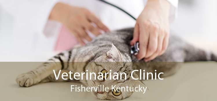 Veterinarian Clinic Fisherville Kentucky