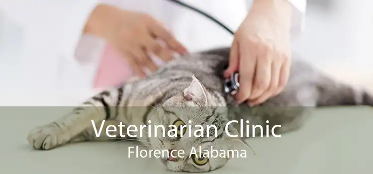 Veterinarian Clinic Florence Alabama