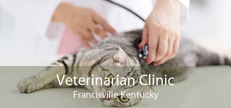 Veterinarian Clinic Francisville Kentucky