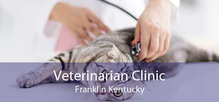 Veterinarian Clinic Franklin Kentucky