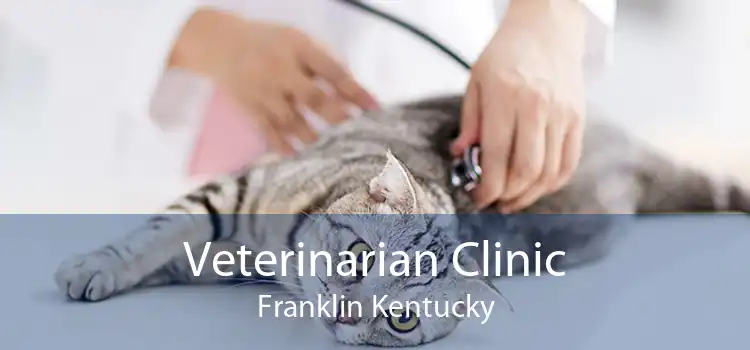 Veterinarian Clinic Franklin Kentucky