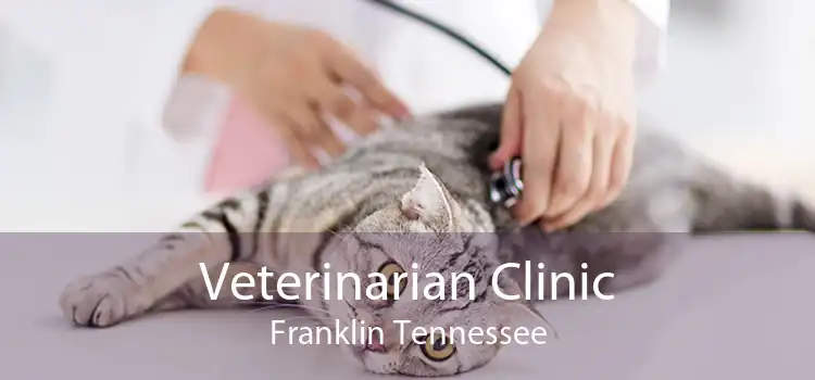 Veterinarian Clinic Franklin Tennessee