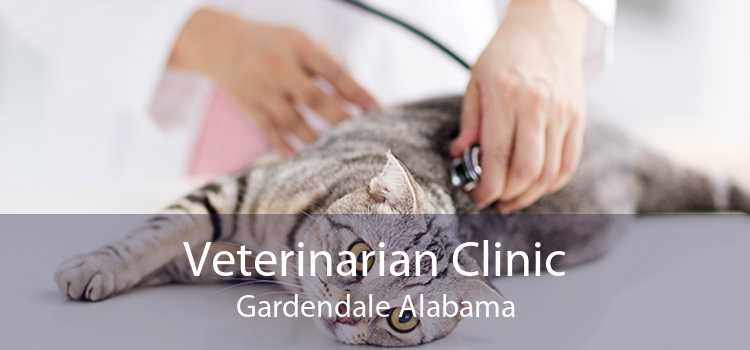 Veterinarian Clinic Gardendale Alabama
