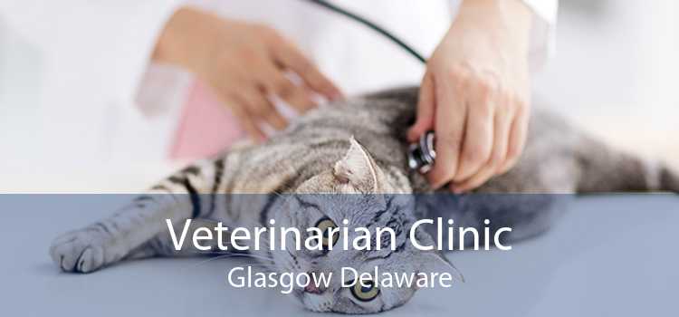 Veterinarian Clinic Glasgow Delaware