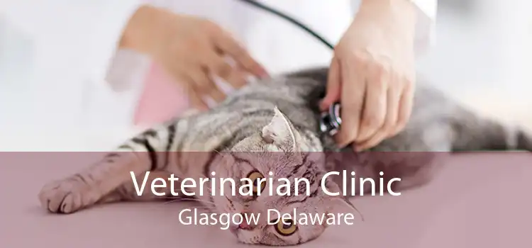 Veterinarian Clinic Glasgow Delaware