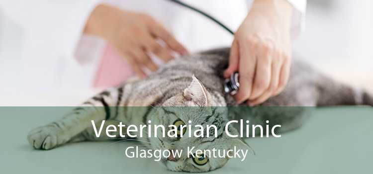Veterinarian Clinic Glasgow Kentucky