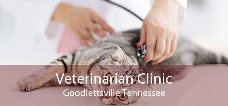 Veterinarian Clinic Goodlettsville Tennessee