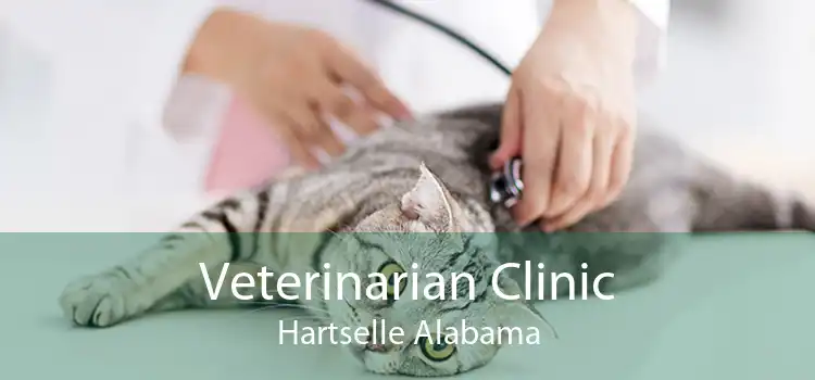 Veterinarian Clinic Hartselle Alabama