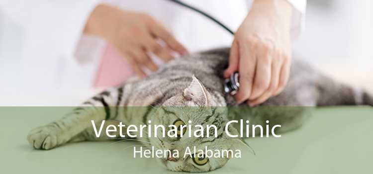 Veterinarian Clinic Helena Alabama