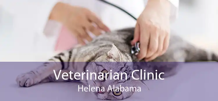 Veterinarian Clinic Helena Alabama