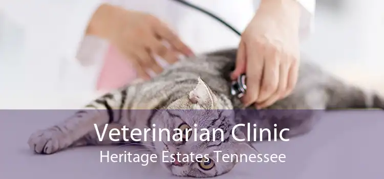 Veterinarian Clinic Heritage Estates Tennessee